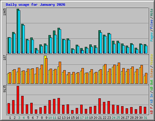 Daily usage for January 2026