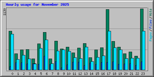 Hourly usage for November 2025