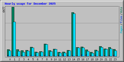 Hourly usage for December 2025