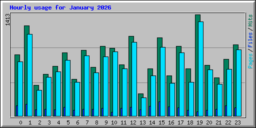 Hourly usage for January 2026